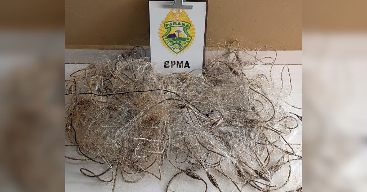 Pescador é preso por pesca irregular durante patrulhamento no Rio Iguaçu