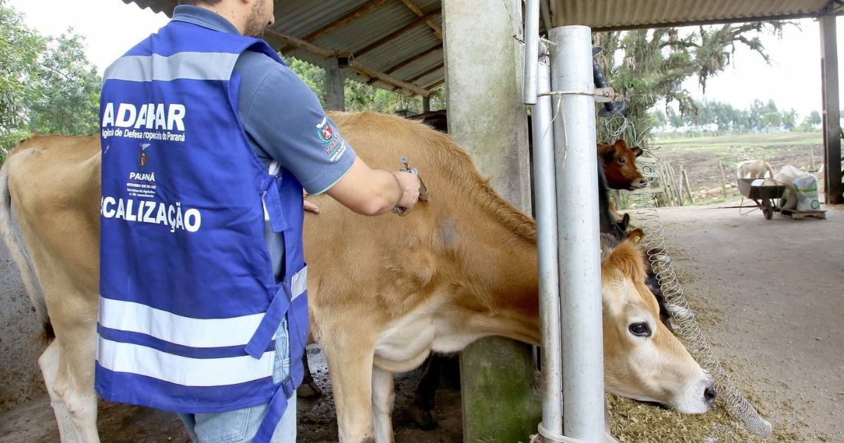 Adapar mantém vigilância e reforça importância da vacinação contra raiva no campo