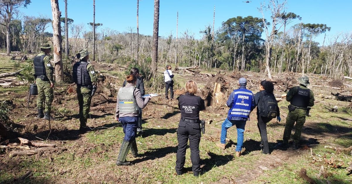 Homem é preso por trabalho análogo à escravidão e desmatamento em Rio Azul
