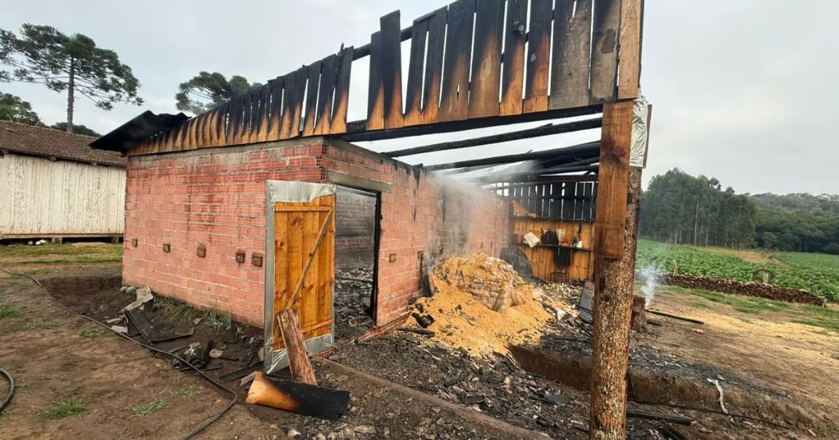 Incêndio destrói estufa de fumo no interior de Bela Vista do Toldo