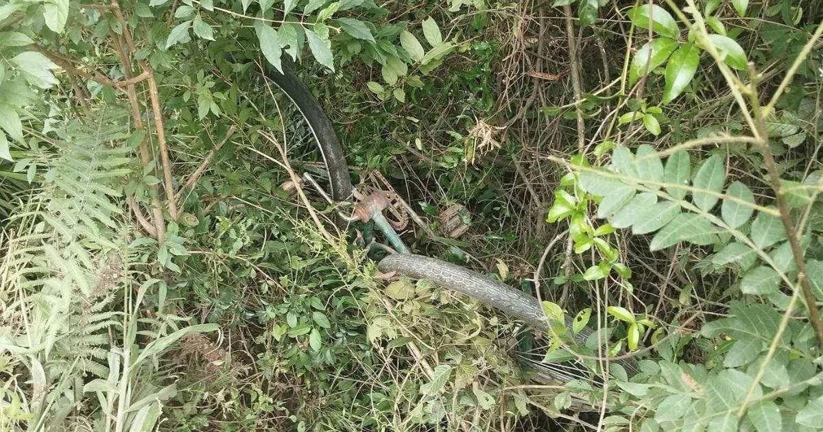 Ciclista morre após atropelamento na BR-153 em Rebouças