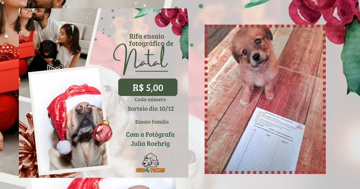 ONG 4 Patas lança rifas solidárias para custear resgates e tratamentos de animais abandonados em São Mateus do Sul
