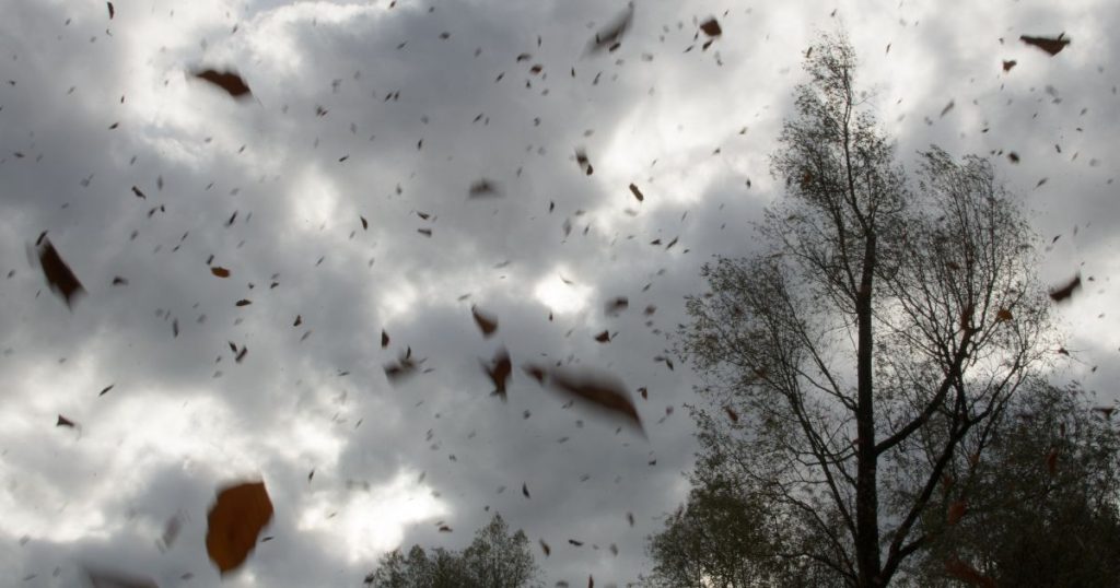 Paraná e outros estados da região Sul ficam em alerta por passagem de ciclone extratropical