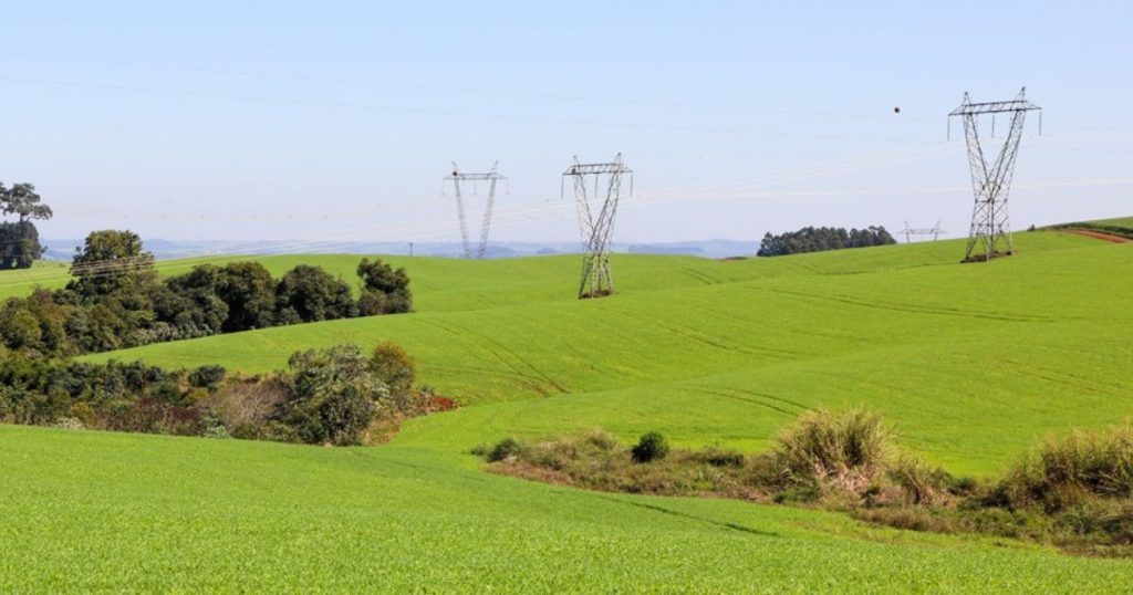 Lei que transfere limpeza do entorno da rede elétrica ao produtor é inadequada, afirma Sistema FAEP