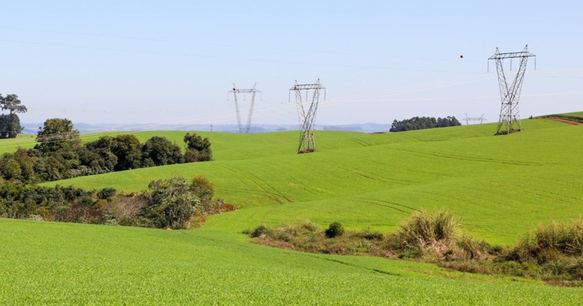 Lei que transfere limpeza do entorno da rede elétrica ao produtor é inadequada, afirma Sistema FAEP