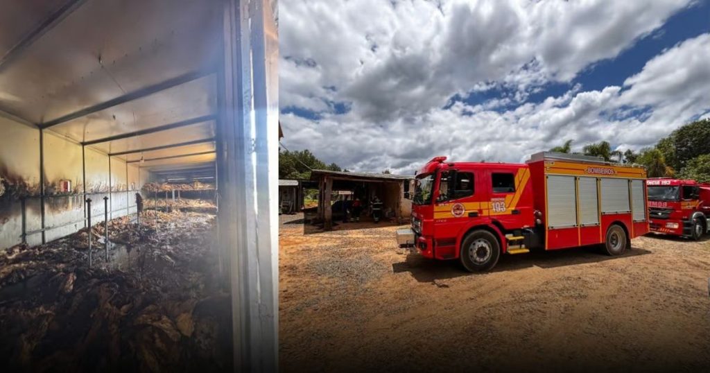 Incêndio atinge estufa de secagem de fumo no interior de Mafra