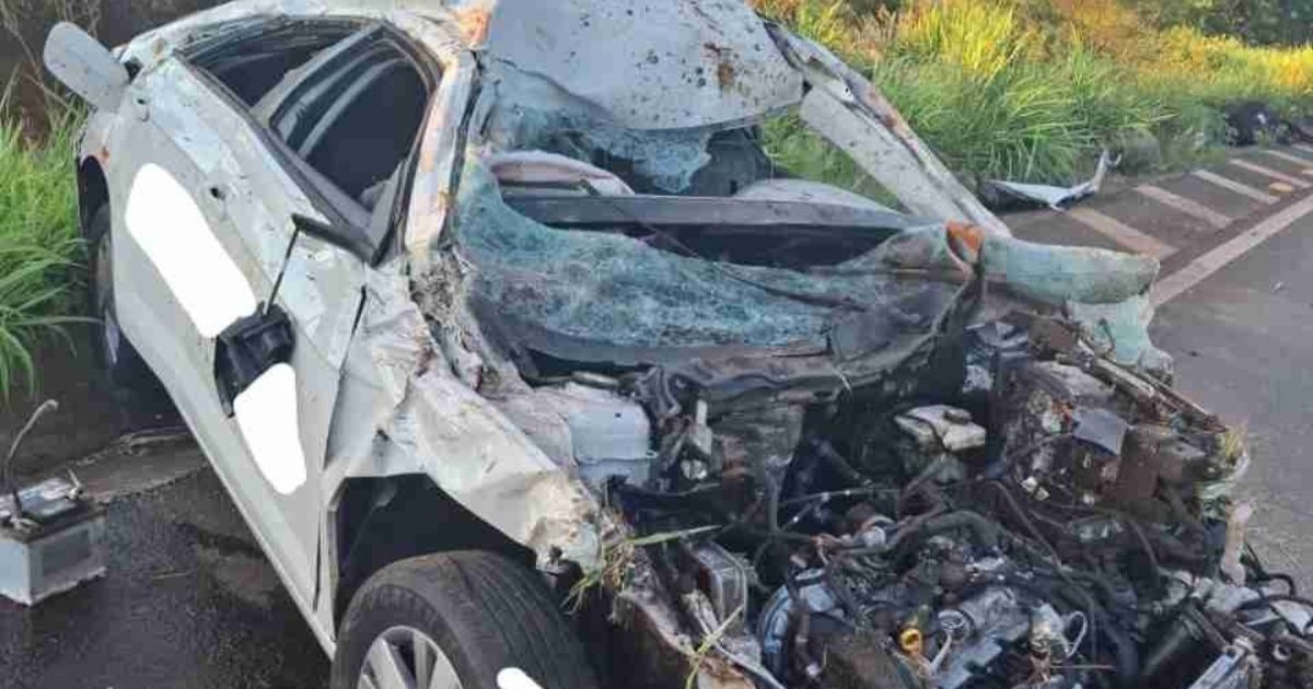 Idoso fica ferido após carro atropelar vaca em rodovia do Paraná