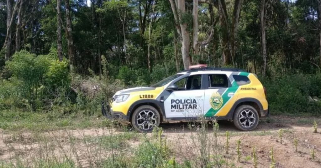 Homem é multado em R$ 7 mil após desmatar área nativa utilizando trator e motosserra