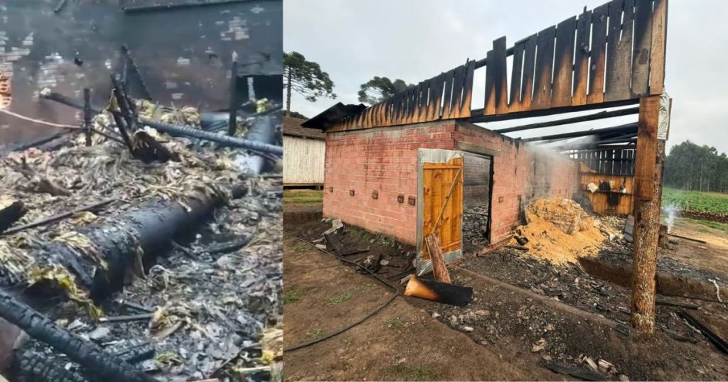 Estufa de fumo é totalmente destruída e cerca de mil quilos da safra são perdidos em São João do Triunfo