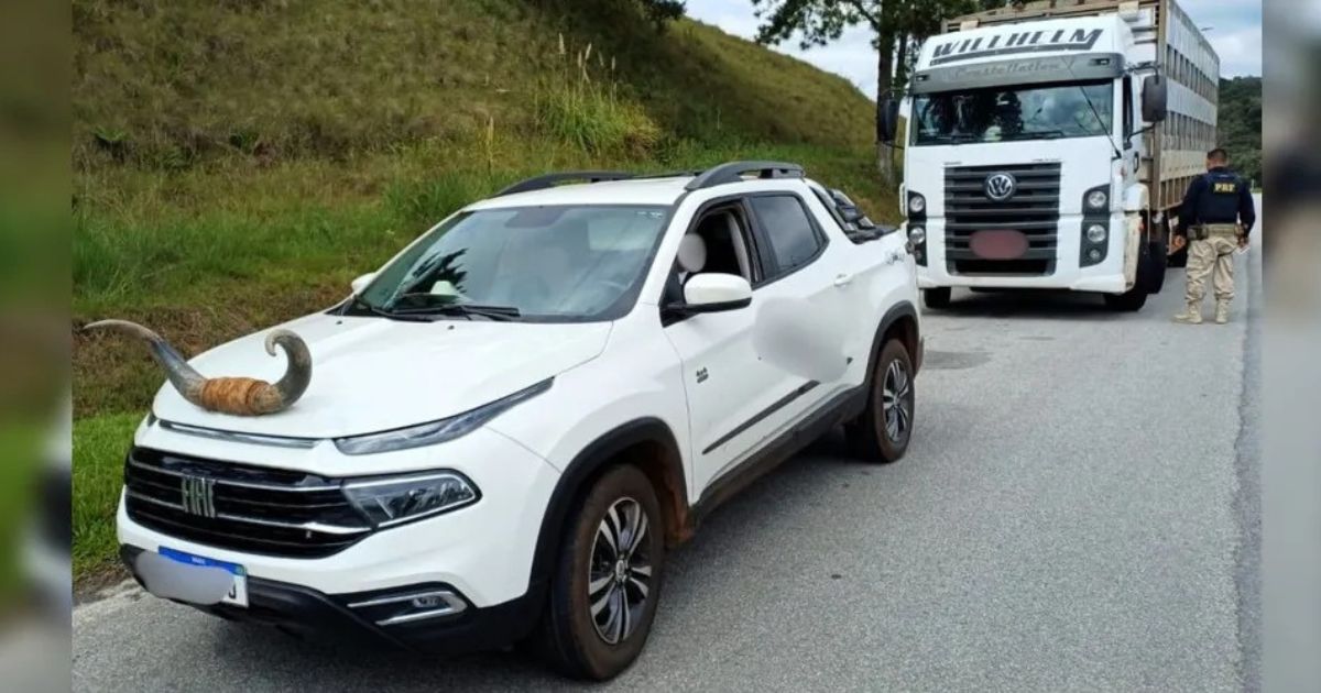 Picape com chifre é flagrada em rodovia de SC e motorista leva multa gravíssima